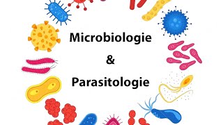 Parasitologie  Cours microbiologie parasitologie  IFCSISPITS [upl. by Llennol]