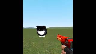 Garrys Mod  Cat [upl. by Ninos]