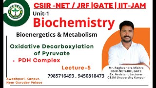 Oxidative Decarboxylation of Pyruvate  PDH Complex  Metabolism  Biochemistry [upl. by Yenwat122]