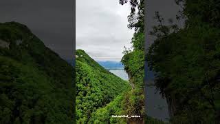 Meditation with nature 🏞️ 🧘‍♀️ nature meditation lake forest france shorts youtubeshorts [upl. by Edmea]