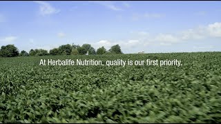 Herbalifes Gold Quality Standards  Herbalife Nutrition [upl. by Klecka]