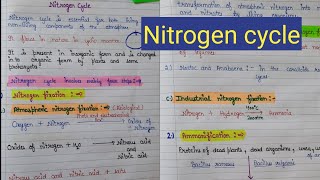 Nitrogen cycle  nitrogen fixation  what is nitrogen cycle [upl. by Senga90]