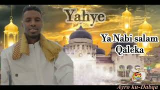 Qassaid yahye Abdulkadir salawad 2023 somalientertainmentt WaqalStudio [upl. by Acenahs]