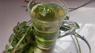 HEALTH BENEFITS OF VERVINE BLUE VERVAIN TEA natural remedies 2 [upl. by Jacquette931]