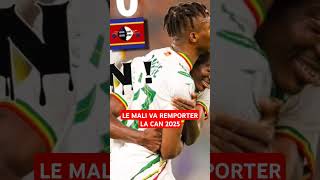 Mali vs Eswatini  6  0 [upl. by Hterrag393]