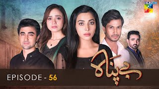 Bepanah  Episode 56  Eshal Fayyaz  Khaqan Shahnawaz  Kanwal Khan 22nd December 2022  HUM TV [upl. by Atin602]