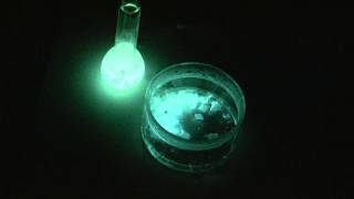 Luminol chemiluminescence [upl. by Sillyrama]