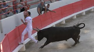 BEAUCAIRE26062024LigueCourse CamarguaiseAubanelMermouxPla [upl. by Lezti831]