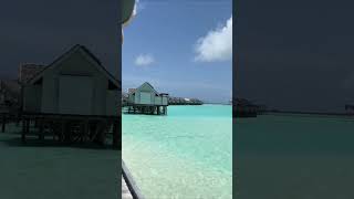 OZEN LIFE MAADHOO travel maldives ocean resorts [upl. by Laucsap]