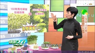 青花椰苗、苜蓿芽小芽菜抗癌效果加倍！防癌蔬菜這樣吃 健康20完整版 [upl. by Skippy87]