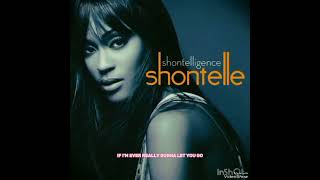 Shontelle  T Shirt Lyrics 8D AUDIO [upl. by Libenson]