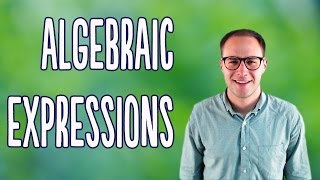 Algebraic Expressions Basics [upl. by Hnahym]