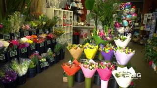 Flowers Upon Flowers Florist Shop in Camberwell VIC for Floral Design and Gifts [upl. by Enenstein527]