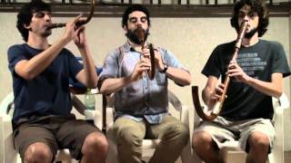 Crumhorn trio plays Susato  Allemande Crumhorn Renaissance [upl. by Yedarb]