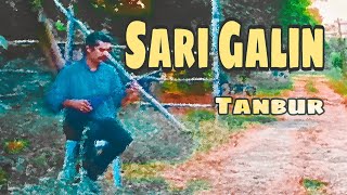 Sari Galin on Tanbur  Traditional Music Performance  Beautiful Tanbur Melody [upl. by Honora]