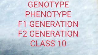 SCIENCE CLASS 10 HEREDITY GENOTYPE PHENOTYPE F1 GENERATION F2 GENERATION BIOLOGY NCERT CBSE [upl. by Cornelia]