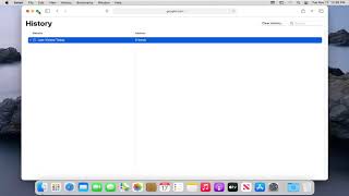 How To View Browsing History In Safari Tutorial [upl. by Lyford1]