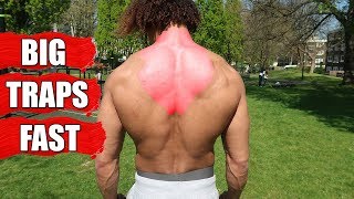 GET BIG TRAPS FAST USING JUST YOUR BODYWEIGHT  FOLLOW ALONG CALISTHENICS WORKOUT [upl. by Avin562]