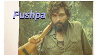 Pushpa  South Indian movies  Hindi dubbed alluarjun rashmikamandanna [upl. by Orms]