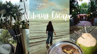 The Alibaug Escape  Aesthethic Travel Vlog 🌴🌊 [upl. by Notsruht]