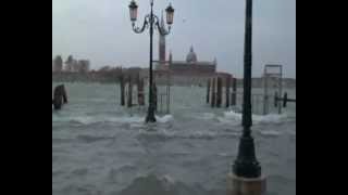 Venezia 11112012 acqua alta [upl. by Ennairac]