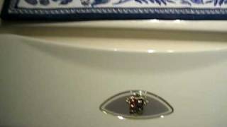 Maytag Neptune Washer Gone Wild [upl. by Pani872]