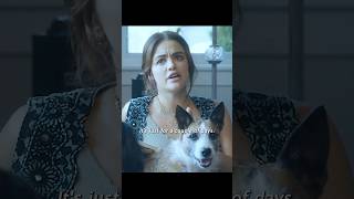 Social phobic owner with a socialized dogshorts viralvideo shortsvideo [upl. by Zechariah]