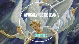 Apocalypse de Jean chapitre 7 [upl. by Sparkie]