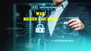 What to expect WGU’s BSNES Capstone ProjectD418 [upl. by Virgy]