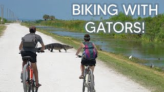 Biking Past Alligators Is This Even Safe  Lake Apopka Wildlife Drive [upl. by Mairym947]