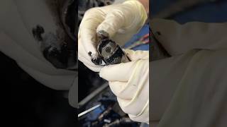 Ford 67 Power Stroke Lifter Failure Oil Analysis would Catch It [upl. by Ruben]