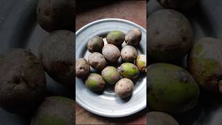 Amra diye choto macher recipefood shortvideo recipe [upl. by Farmer]