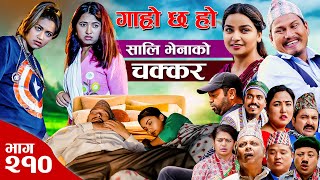 साली भेनाको चक्कर II Garo Chha Ho II Epi 210 II July 8 2024 II Begam Nepali II Karuna II Nawina [upl. by Bunow18]