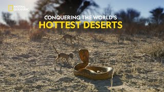 Survival in the Desert  Hostile Planet  हिंदी  S1  E4  Nat Geo Wild [upl. by Reinert]