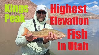 Backpacking to the highest stocked lake in Utah near Kings Peak [upl. by Matthew]