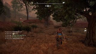 I witnessed an NPC getting clapped by a Stormbird [upl. by Ettener501]