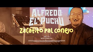 El Hijo Del Pulpo  Zacatito Pal Conejo [upl. by Niawd]