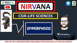 DEVELOPMENTAL BIOLOGY  EPIMORPHOSIS  part 4  csir iitjam aiims dbtjrf [upl. by Thgiwd]