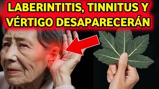 Planta 1 ¡Cura milagrosa para la laberintitis y el tinnitus  Debes verlo [upl. by Tyra]