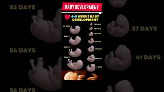 baby development from 0 to 9 months।। baby development stages in pregnancybaby shorts [upl. by Ardnas]