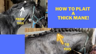 How to plait a horse with a thick mane [upl. by Little]