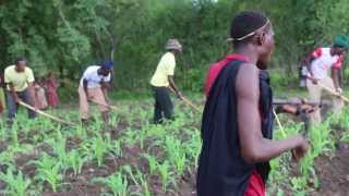 Tanzania Sukuma Bachonga Magembe working in the fields [upl. by Alisan]