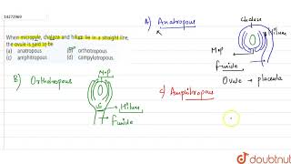 When micropyle chalaza and helium lie in a striaght line the ovule is said to be [upl. by Gilmer]