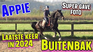 Laatste BUITENLES voor dit jaar Super MOOI WEER Rijden op APPIE Fijn gereden op hem 3517 [upl. by Merideth258]