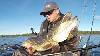 Catching big pike with Livescope from Garmin [upl. by Atniuqal]