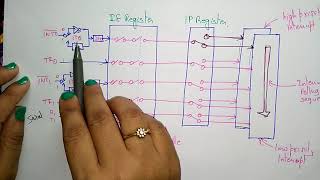 8051 interrupt structure [upl. by Seena724]