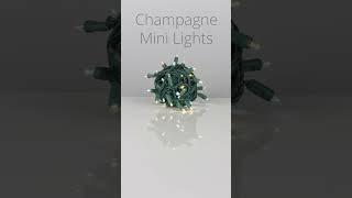 New Champagne Christmas Lights from Wintergreen Lighting [upl. by Yblehs]