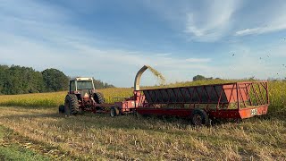 Starting Corn silage [upl. by Savitt]