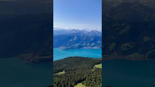 Niederhorn hiking❤️ switzerland 스위스 스위스여행 [upl. by Josephine]