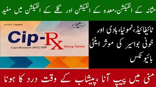 cip rx tablet uses in urdu  cip rx tablet 500mg  ciprofloxacin tablets ip 500mg uses [upl. by Tongue]